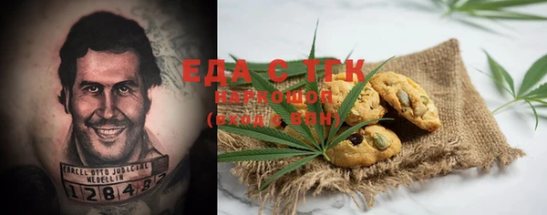 индика Алзамай