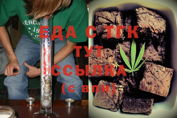индика Алзамай