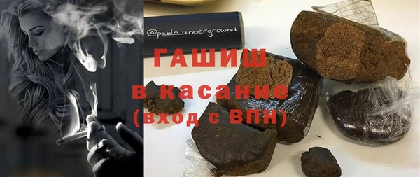 индика Алзамай