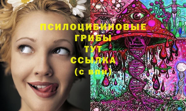 индика Алзамай