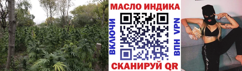 mega ссылки  Усть-Лабинск  ТГК гашишное масло  даркнет сайт 