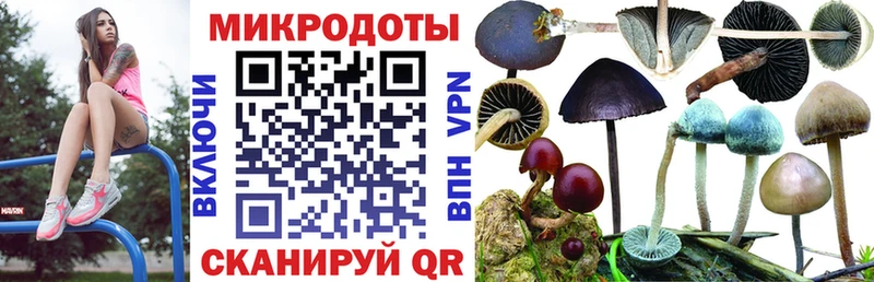 где можно купить наркотик Усть-Лабинск Псилоцибиновые грибы Magic Shrooms